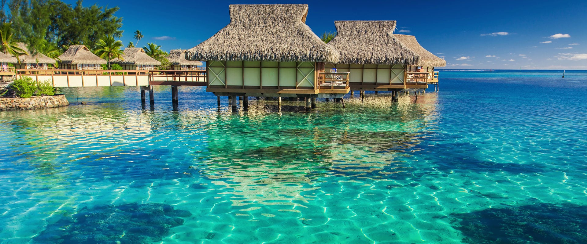 Ritual Voiaj in Insule Tahiti - Aloe Vera si Floare de Tiara